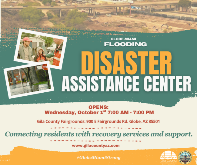 disaster assistance flyer